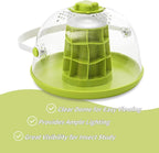 Snail Terrariums Breeding Box, Plastic Round Snail Habitat, Clear Feeding Box with Air Vents & Removable Base, Small Insect Feeding Bin for Beetles Spiders Ladybugs, Starter Terrarium Kit