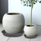 4 Pack of 16 17 inch Plant Saucer (15 inch Base), 2.3" Depth, Heavy Duty Deep Plant Trays for Pots, Plastic Plant Saucers for Indoors, Bird Bath Bowls, Drip Trays for Planter (17", Cement)