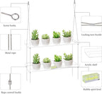 Sumerflos 2-Tier Acrylic Window Boxes Plant Shelves for Window of Kitchen, Bedroom, Living Room, 16 Inch Wall Flower Double Hanger Boxes Adjustable Hanging Shelves for Indoor Plants, Succulents