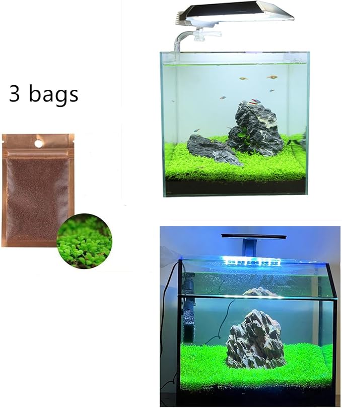Aquarium G-r-a-s-s P-l-a-n-t - 3 Pack | Easy-Growing Water P-l-a-n-t for Fish Tank Aquarium