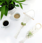 Belit 4 Pack Air Plants Holders, Wall Hanging Air Fern Stand, Macrame Plant Hanger with 4 Hooks for Home Decoration (NO Plant Included)