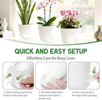 Self Watering Pots for Plants, 2026 New Flower Plant Pots with Drainage Holes, Wicking and Clear Reservoirs for Succulent, Aloe, Cacti and Others - 6 Pack (White, 4")