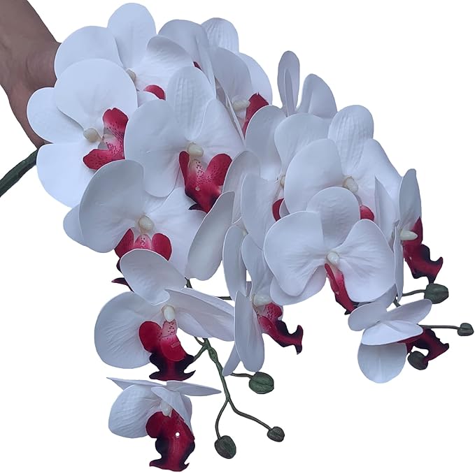 FagusHome 32 Inch Artificial Phalaenopsis Flowers 6 Pcs Artificial Orchid Flowers Stem Plants for Home Décor (Pure White)