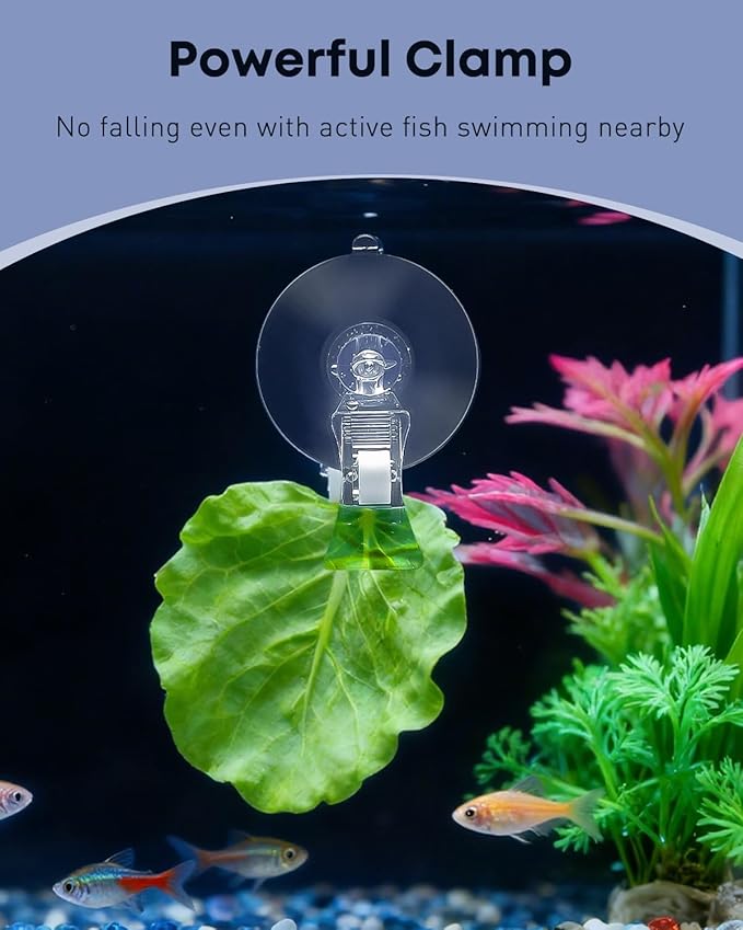 Pawfly 12 Pcs Aquarium Suction Cups with Clips, Plant Leaf Seaweed Clip, Fish Tank Accessories, Aquarium Suction Cup Clips, Clear Plastic Fish Feeding Tool, Underwater Fish Feeder, Veggie Feed Holder