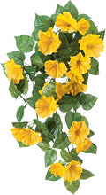 OakRidge Petunia Hanging Stem Outdoor