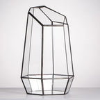 NCYP No Door Geometric Glass Terrarium Planter for Small Succulent, Small Cacti, Black Irregular Opened Terrarium Pot, Indoor Home Garden Office Tabletop Decor, 6.5" x 5.7" x 9.8" (No Plants)