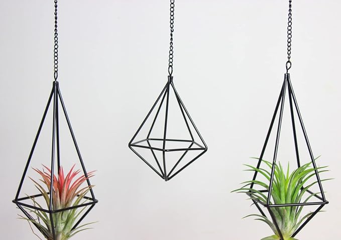 SZRUIZFZ Tillandsia Air Plant Holder Black Geometric Hanging Air Plant Holders Unique for Wall Decor Xerographica Air Plant Hanger for Indoor Decor Himmeli Geometric Decor (5Pcs)