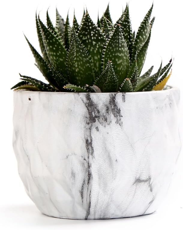 SE SUN-E Sun-E Modern Style Marbling Ceramic Flower Pot Succulent/Cactus Planter Pots Container Bonsai Planters with Hole 3.35 Inch Gift Idea(4 in Set) Plants Not Included