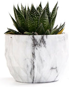 SE SUN-E Sun-E Modern Style Marbling Ceramic Flower Pot Succulent/Cactus Planter Pots Container Bonsai Planters with Hole 3.35 Inch Gift Idea(4 in Set) Plants Not Included