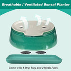 MUZHI 9” Glazed Oval Green Bonsai Planter Pot with Humidity Tray, Classic Neat Ice Crack Long Bonsai Tree Succulent Plant Pot with Saucer