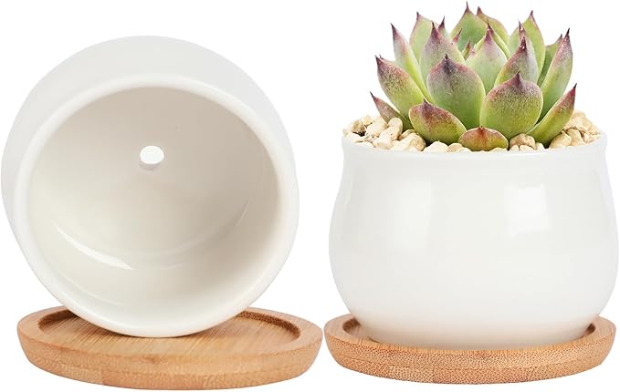 SHECIPIN 2 Pack Succulent Pots, 2.5 Inch Mini Ceramic Pots for Flower or Cactus Plants with Drainage Hole,Plants Not Included (White)