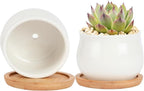 SHECIPIN 2 Pack Succulent Pots, 2.5 Inch Mini Ceramic Pots for Flower or Cactus Plants with Drainage Hole,Plants Not Included (White)