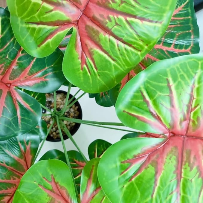 Artificial Caladium Plant with Red and Green Leaves, Red Leaf Artificial Plants Decoration Simulated Bonsai Potted Decor Home Room Party Wedding Office Floor(RedGreen(No Flowerpot), 60cm)