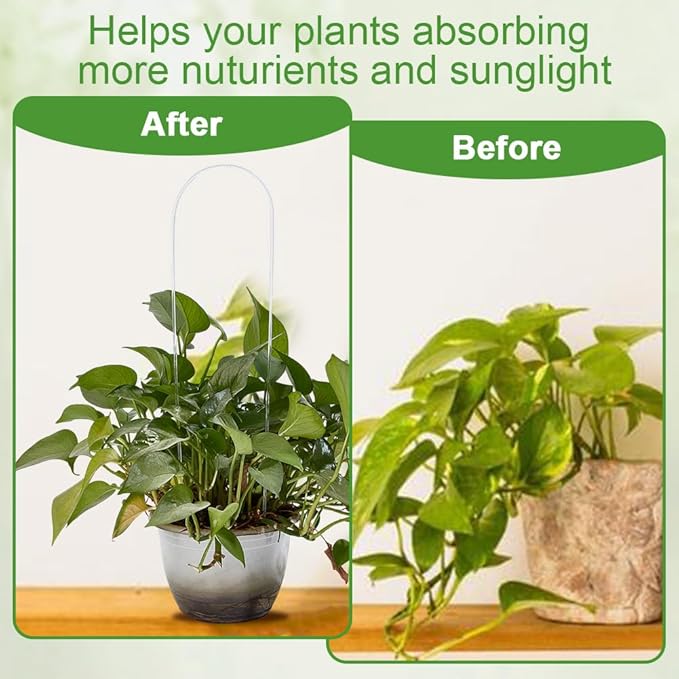 10Pcs U-Shaped Plant Trellis for Climbing Plants, Acrylic Houseplant Trellis for Monstera Pothos Plants, Plant Support for Potted Plants Accessory Vine Ivy Hoya Flowers Indoor Outdoor
