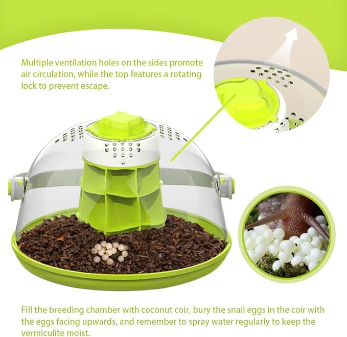 Snail Terrariums Breeding Box, Round Habitat Starter Terrarium Kit, Transparent Feeding Box, Ideal for Beetles, Spiders and Small Reptile