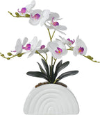 Fake Orchid Plant in White Rainbow Pot, Artificial Silk Phalaenopsis Orchid Flowers for Home Décor, Table Centerpiece, Office Desk (White)