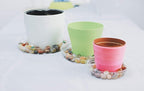 TRUEDAYS 12 Inch 5 Pack Clear Plant Saucers Flower Pot Tray Excellent for Indoor & Outdoor Plants