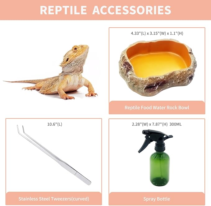 Reptile Growth Mini Reptile PC Terrarium,8x8x7 inch Amphibian Tank Starter Kit Habitat Cage，for Insect，Fish，Tarantula，Turtles，Jumping Spiders and Small Reptiles
