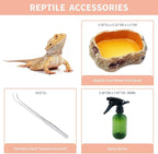 Reptile Growth Mini Reptile PC Terrarium,8x8x7 inch Amphibian Tank Starter Kit Habitat Cage，for Insect，Fish，Tarantula，Turtles，Jumping Spiders and Small Reptiles