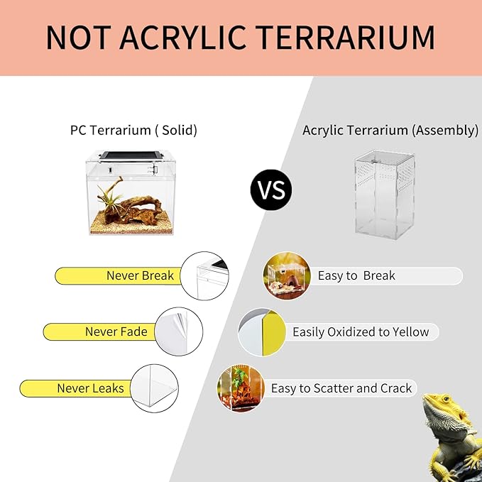 Reptile Growth Mini Reptile PC Terrarium,8x8x7 inch Amphibian Tank Starter Kit Habitat Cage，for Insect，Fish，Tarantula，Turtles，Jumping Spiders and Small Reptiles