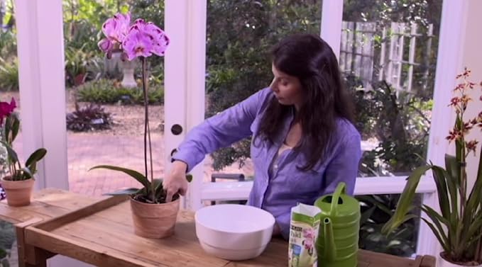 Sun Bulb 5011 Better-Gro Phalaenopsis Mix, 8 Quarts (Pack of 9)