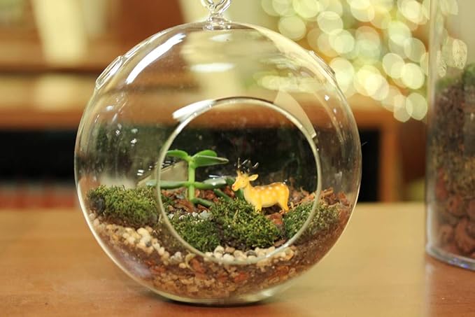 WGV Hanging Terrarium Globe, Width 7", Height 8", DIY Air Succulent Planter, Clear Glass Vase Orb with Flat Bottom, Candle Holder for Windowsill Outdoor Garden Decor, 1 Piece