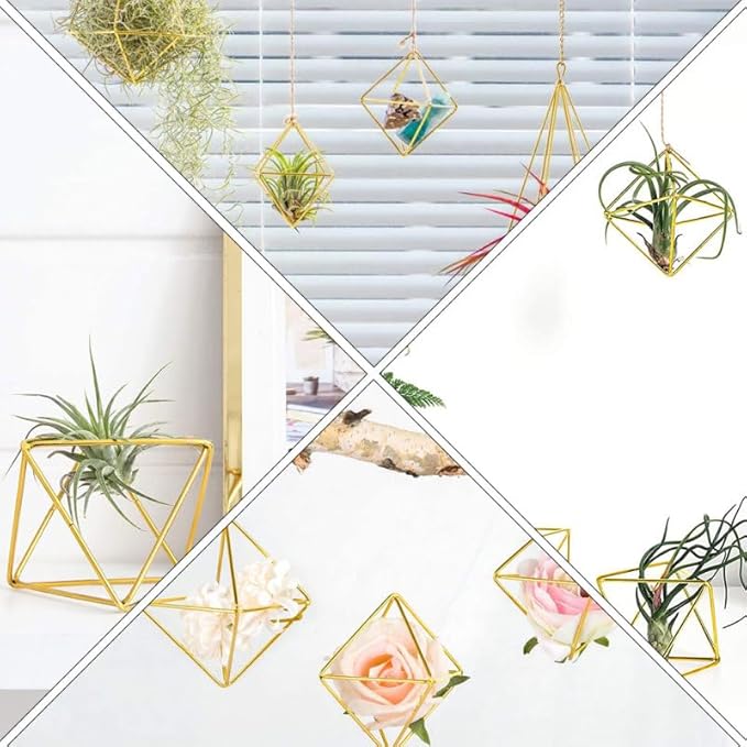 Homoyoyo 5 Pack Geometric Air Plant Holder - Gold Metal Himmeli Stand for Tillandsia, Minimalist Airplant Display Rack for Home Office Desktop, Modern Indoor Plant Decoration (2.6 x 2.6 inch)