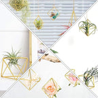 Homoyoyo 5 Pack Geometric Air Plant Holder - Gold Metal Himmeli Stand for Tillandsia, Minimalist Airplant Display Rack for Home Office Desktop, Modern Indoor Plant Decoration (2.6 x 2.6 inch)