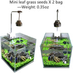 2 Pack Aquarium Plants S.e.e.ds Easy to Grow Fish Tank Plant S.e.e.ds Ideal for Aquarium Foreground Decor Real Carpet Plants