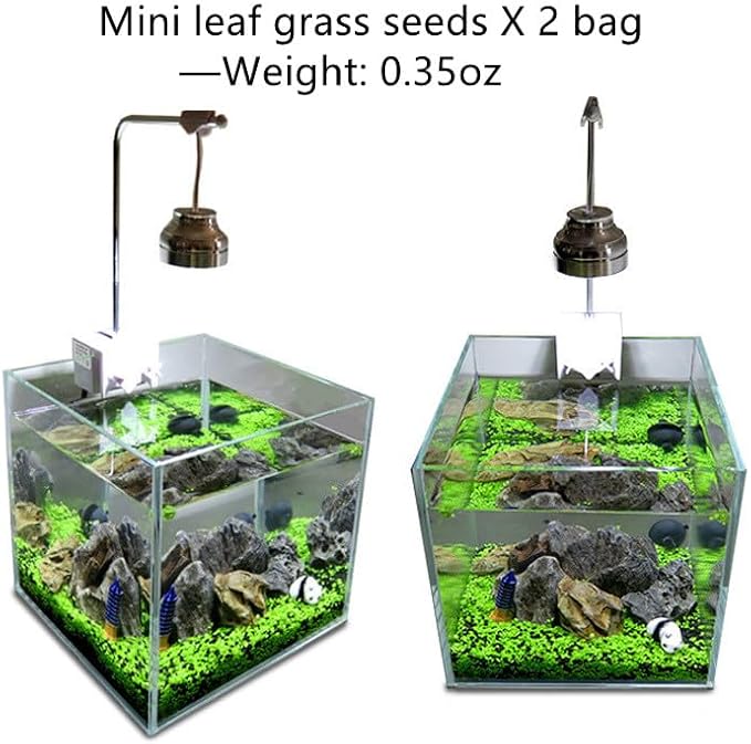 2 Pack Aquarium Plants S.e.e.ds Easy to Grow Fish Tank Plant S.e.e.ds Ideal for Aquarium Foreground Decor Real Carpet Plants