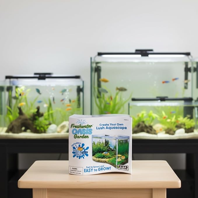 Toys By Nature Freshwater Oasis Garden, Mini Wave Terrarium Kit with Aquatic Seeds and Real Water Plant, Beginner-Friendly Terrariums and Live Indoor Plants Decor