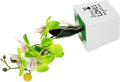 FOMIYES Artificial Moth Orchid Bonsai Plant, Desktop Faux Potted Flower with Green Plastic Leaves, Tabletop Simulated Orchid Decor for Home Office Living Room