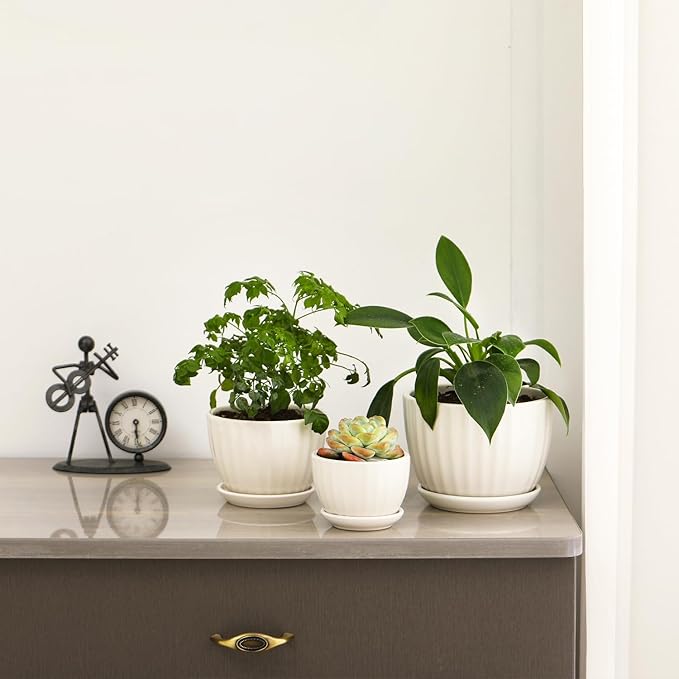 STHIE Ceramic Plant Pots with Drainage Holes and Saucers, Round White Flower Pots for Indoor Plant, Diameter 3.3/4.3/5.5 Inches Small Flower Planters Set of 3