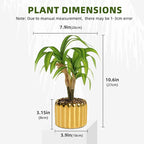10. 6" Artificial Dracaena Plant with Textured Leaves Golden Ceramic Pot Realistic Faux Greenery Fake Potted Plant Indoor Outdoor Home Decor for Living Room Office Garden Table Centerpiece