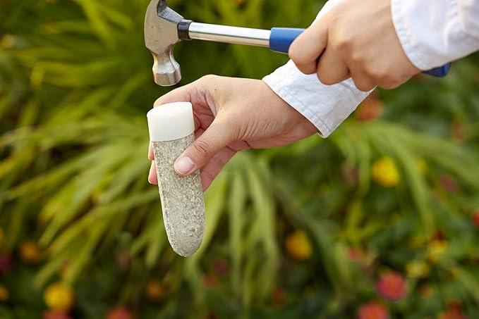 Miracle-Gro Fruit & Citrus Plant Food Spikes - 10-15-15 NPK Easy-to-Use Nutrition for Fruit and Citrus Trees, Plant Fertilizer, 12 Spikes, 3 lb. (2-Pack)