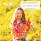 Grower Special Mix Gladiolus Flower Bulbs - 100 Bulbs Assorted Colors - Make Great Cut Flowers - Perennializing - Fragrant - Vibrant Color Mix - Live Plant Outdoor Garden
