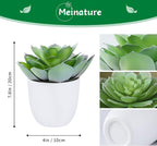 Lifelike Artificial Succulent Plants in White Large Basin - 5.5 Inch Diameter Large Flowers, Green & White, Ideal for Home and Office Table Decoration