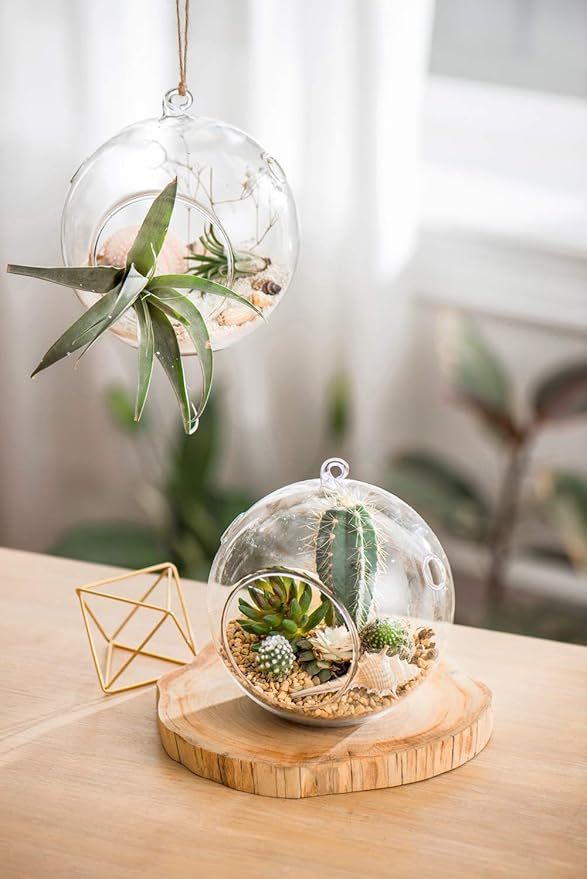 Mkono 2 Packs 6-Inch Round Hanging Glass Planter Air Plant Terrarium Globe for Succulent, Tillandsia, Gifts for Plant Lovers Thanksgiving Christmas Home Decor (Plant Not Included)