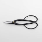 Wazakura Japanese Bonsai Pruning Scissors Tool Set, Made in Japan Trimming Japanese Shears 2PCS Starter Kit Pack - Ashinaga + Traditional Bonsai Scissors