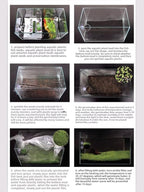 Aquarium G-r-a-s-s P-l-a-n-t - 3 Pack | Easy-Growing Water P-l-a-n-t for Fish Tank Aquarium