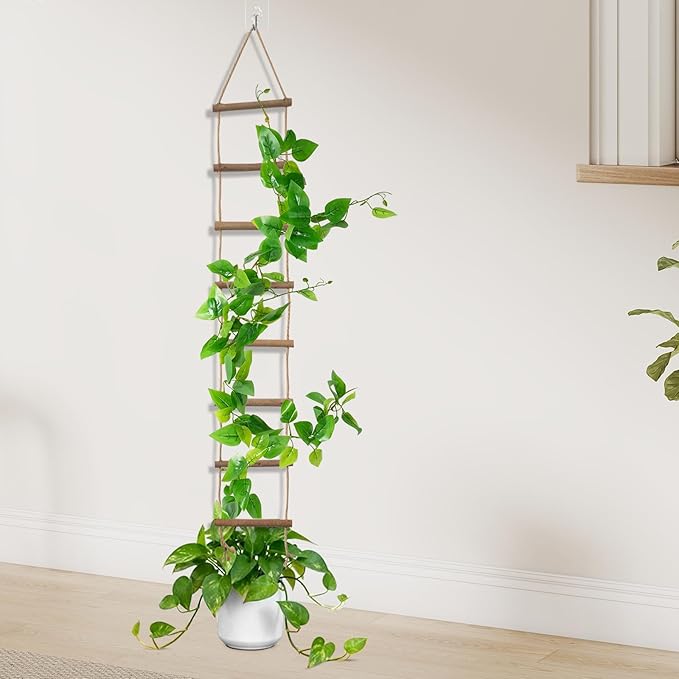 2 PCS Wooden Ladder Plant Trellis for Indoor & Outdoor Climbing Plants, Natural Wood Plant Climbing Support Ladder for Vines, Pothos, Ivy, Monstera (30 x 5.9 Inch)