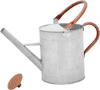 1 Gallon Watering Can, Metal Watering Can with Removable Spout, Farmhouse Galvanzied Water Can, Nice Plant Water Can for Indoor Use and for Outdoor Use