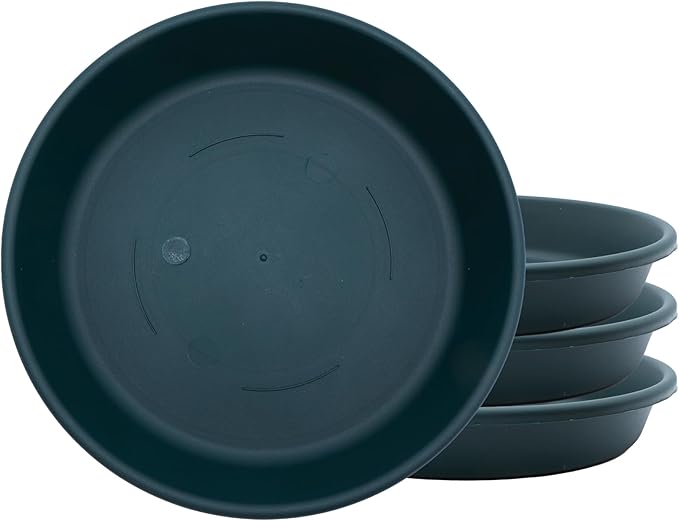 The HC Companies 10 Inch Classic Round Plant Saucer, Lightweight UV-Resistant Plastic Outdoor & Indoor Flower Pot Tray, 4-Pack Plant Pot Trays for Garden & Home Decor, Evergreen