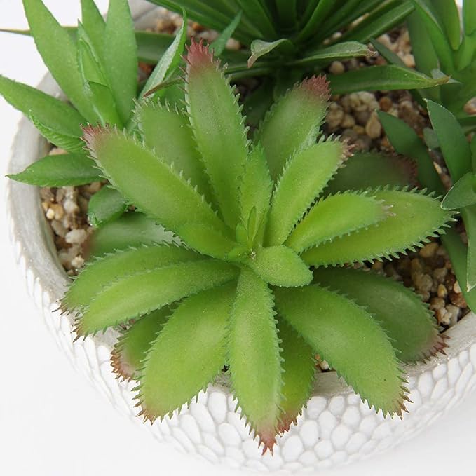 Briful Small Fake Plants Assorted Faux Succulents in Pots Realistic Succulents Plants Artificial with Cement Pots for Home Table Office Desk Bathroom Shelf Living Room Decor