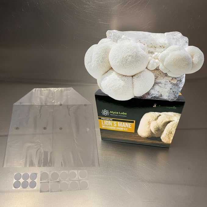 Myco Labs Lion's Mane Mushroom Grow Kit | Large 5.5 LB Fruiting Block | with Custom Humidity Tent & Filters | Grow Anywhere