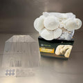 Myco Labs Lion's Mane Mushroom Grow Kit | Large 5.5 LB Fruiting Block | with Custom Humidity Tent & Filters | Grow Anywhere