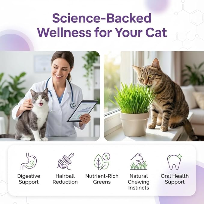 NatureZ Edge Premium Cat Grass Seeds for Indoor Cats, Non GMO - 1 lb Oat, Wheat, Barley & Rye Grass for Indoor Cats, Cat Plant, Kitty Lawn, Pet Grass, Hierba para Gatos, Made in USA