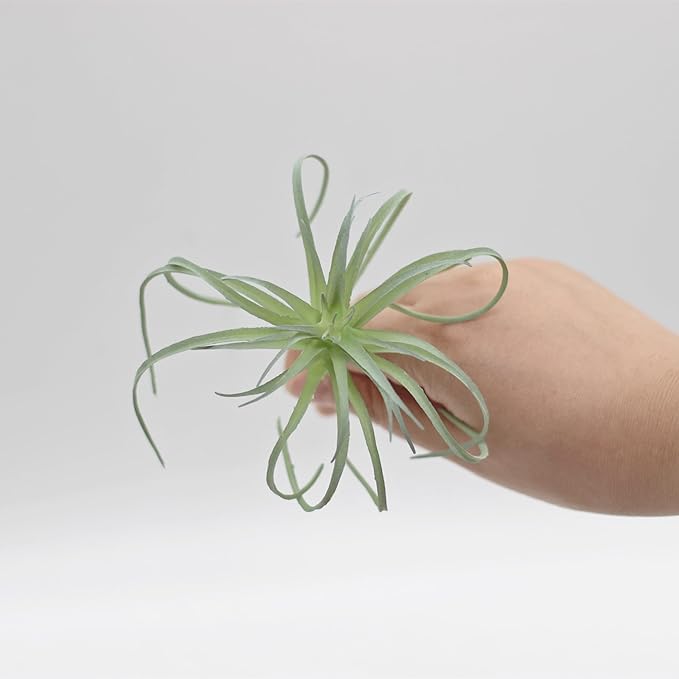 Small Artificial Air Plants Look Real Succulants Plant Faux Greenery Bromeliads for Garden Home Office Decoration (Green Flocking Air Plants)