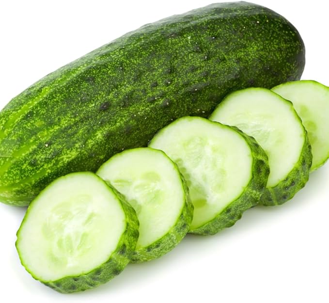 Set of 2 Live Green Cucumber Plants, 3 to 5 Inches Tall, Cucumber Plants Live, 4 Inches Pot, Cucumber Live Plants, Cucumber Starter Plants for Growing, Easy to Plant Outdoor