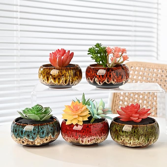 Cute Ceramic Succulent Garden Pots, Planter with Drainage and Attached Saucer, Set of 5 -Plants Not Included (Round+White Border)